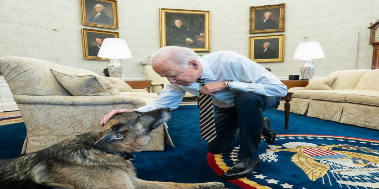 The family of U.S. President Joe Biden announces the death of their beloved dog