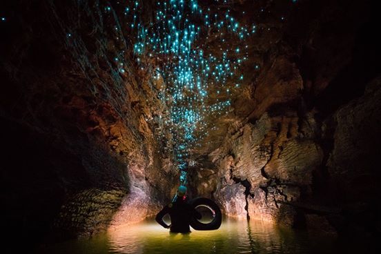 New Zealand: photographer discovers strange creatures in cave