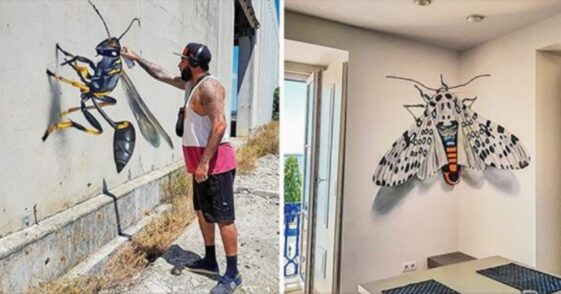 Odeith, is a Portuguese street artist who makes impressive works of art, a three-dimensional graffiti artist the paintings themselves manage to fool the human eye, making him believe that the paintings have relief