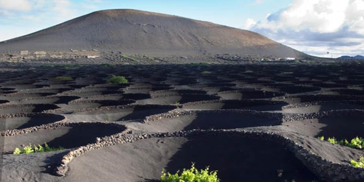 vinos lanzarote