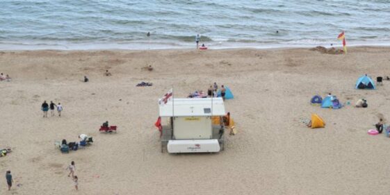 British beach has been evacuated after a shark swam close to shore