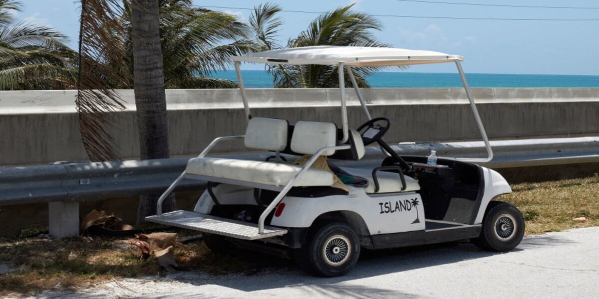 A nude woman driving a golf cart interrupted police during a six-hour standoff