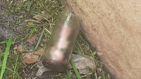 A gardener finds a penis stuffed in a jar while mowing the lawn at his mother's house