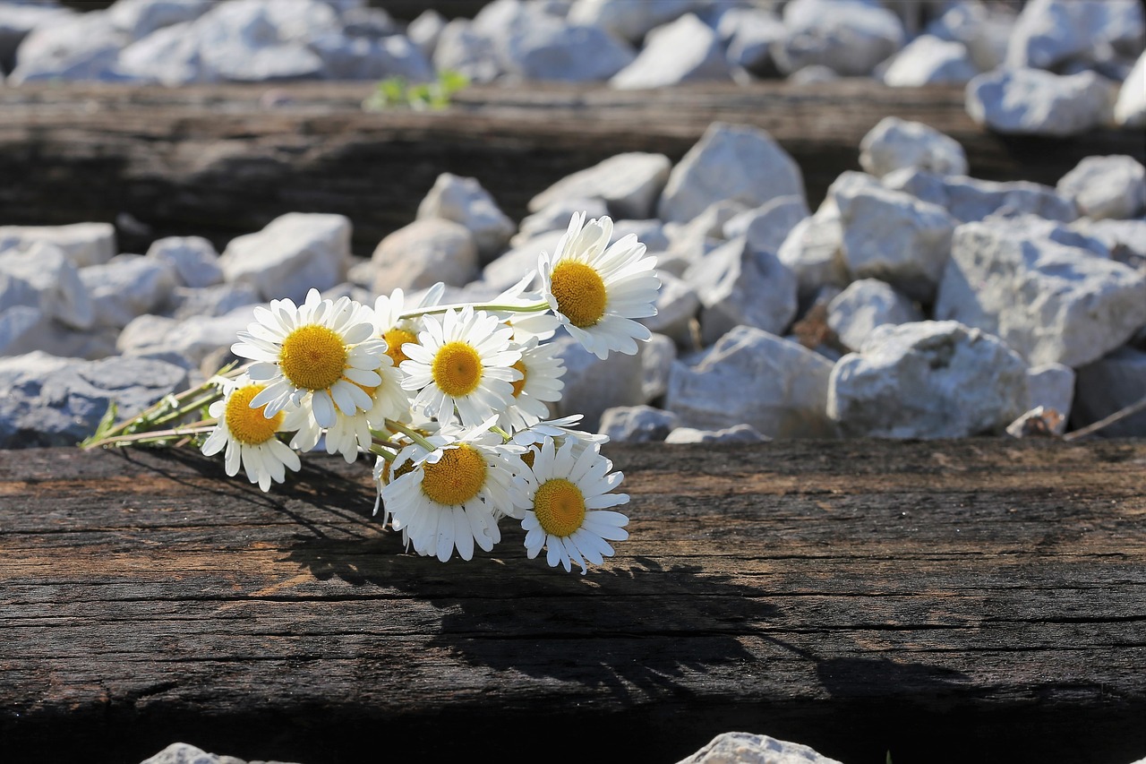 Mourning parents commit suicide after their toddler's death from cancer