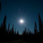 Beaver Moon shining brightly in a clear November sky