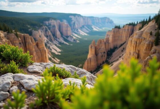 Indigenous representation in Yellowstone National Park