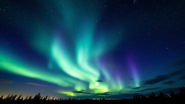 Stunning northern lights over a snowy landscape in the US