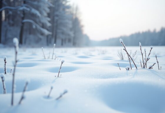 Forecast of winter weather conditions in Canada