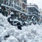 Historic snowfall blankets New Orleans in winter beauty