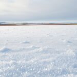 Snow covering Saskatchewan farmland, essential for crops