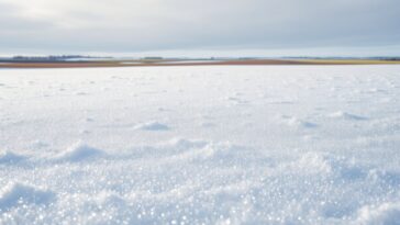 Snow covering Saskatchewan farmland, essential for crops